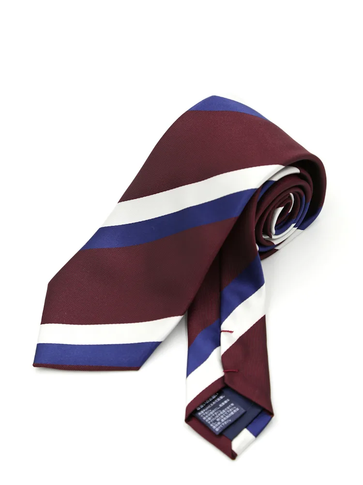 【ウォッシャブル】エコペットネクタイレギュラー再生繊維使用ストライプハントレークラブ通年